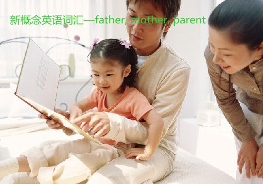 新概念英語詞匯