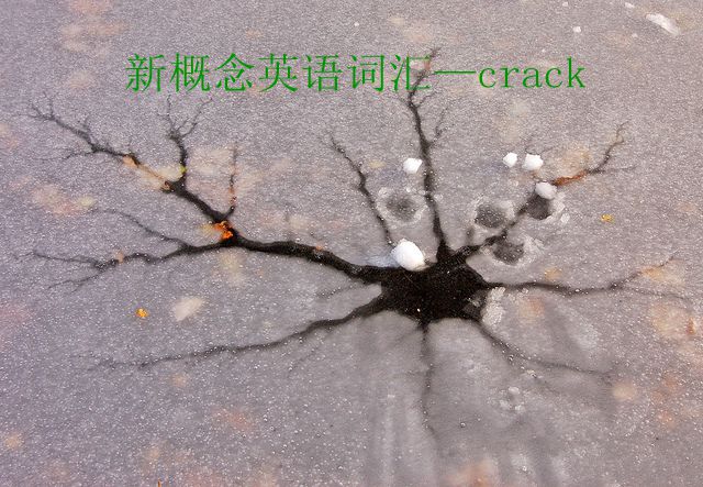 新概念英語詞匯