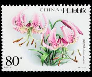 新概念英語詞匯—stamp