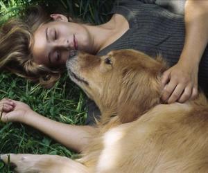 你所不知道的新概念小詞-lie