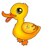 新概念英語詞匯-duck