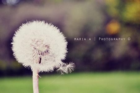 新概念英語詞匯-can/could