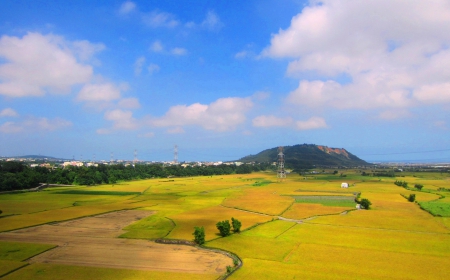 新概念英語詞匯