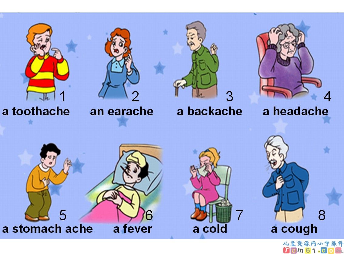 新概念英語詞匯