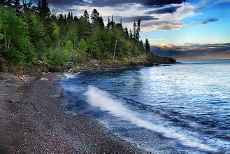 新概念英語詞匯