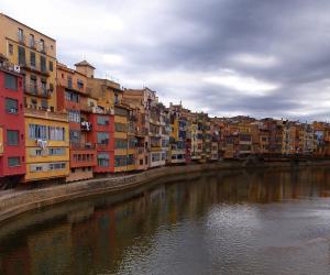 新概念英語詞匯