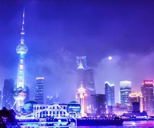 新概念英語詞匯