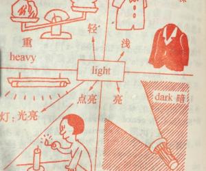 新概念英語詞匯