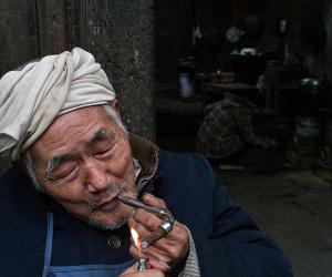 新概念英語詞匯