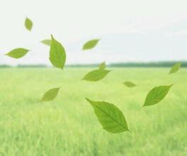 新概念英語詞匯