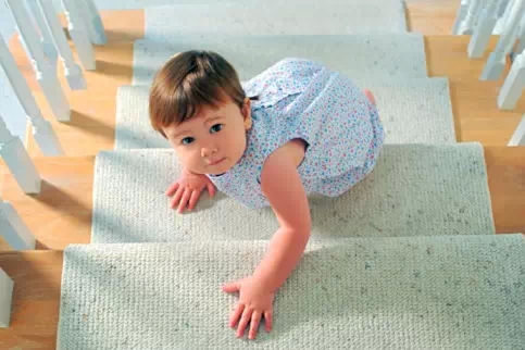 新概念英語詞匯