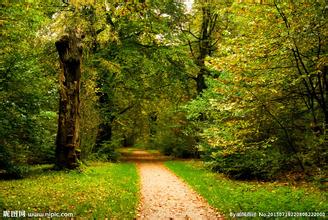 新概念英語詞匯