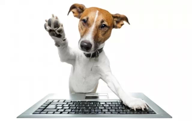 新概念英語詞匯