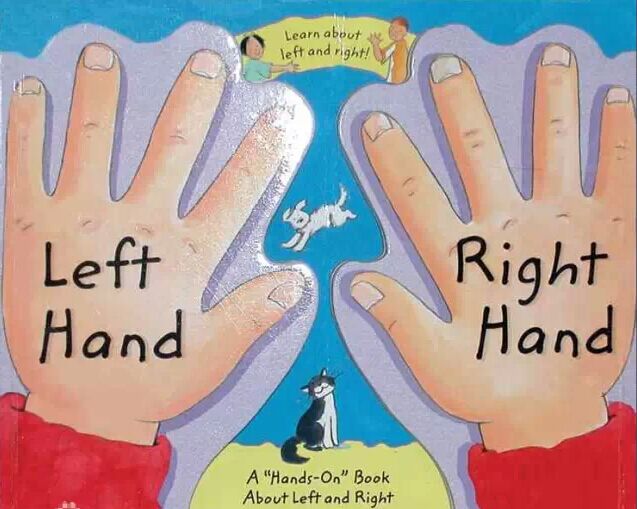 新概念英語詞匯