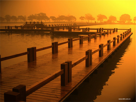 新概念英語詞匯