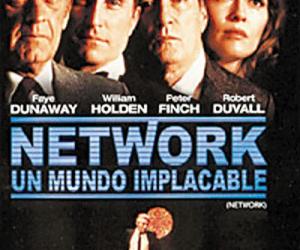 新概念英語詞匯