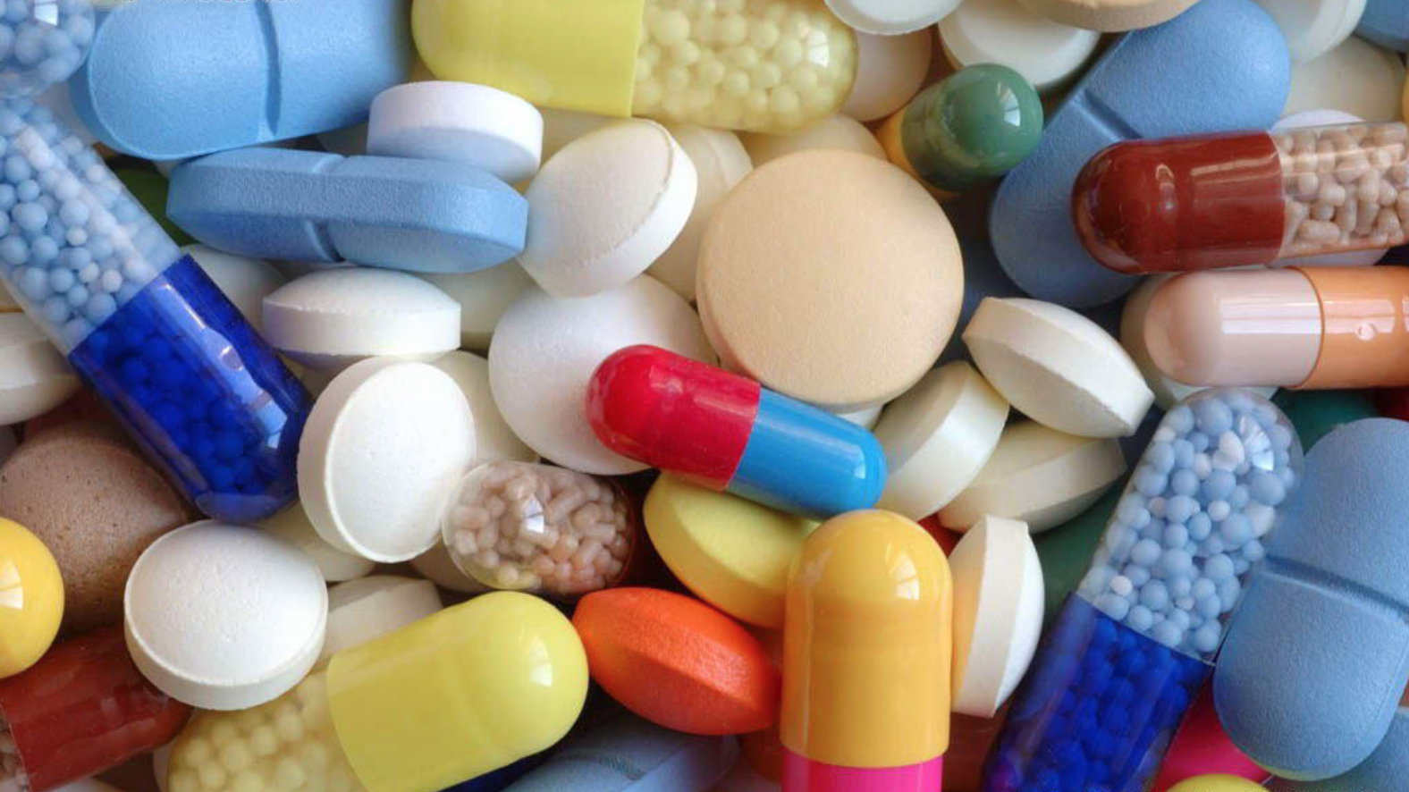 新概念英語詞匯