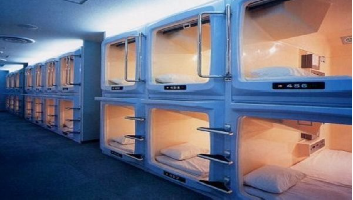 新概念英語詞匯